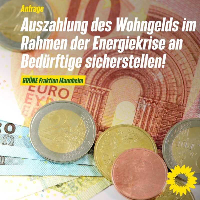 Entdecken Sie die Welt von Rioace in Deutschland mit spannenden Promotions und